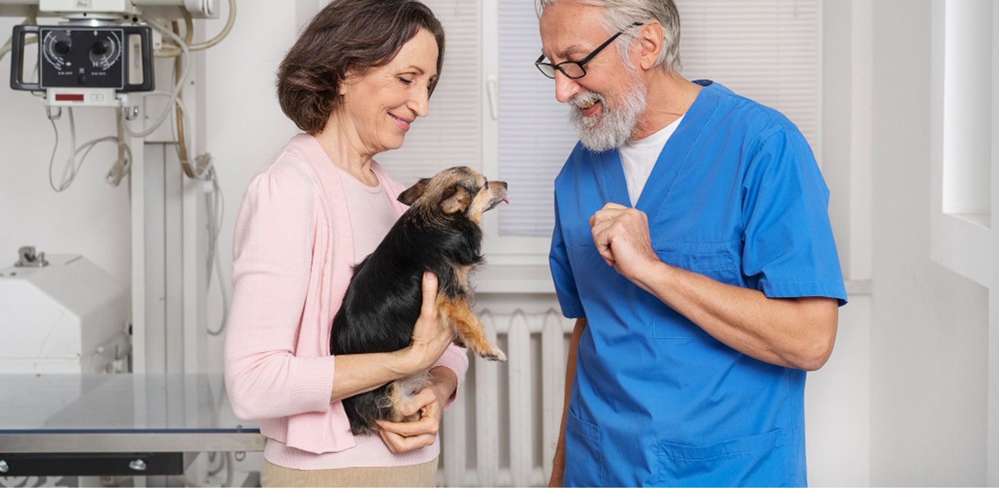 advanced veterinary care veterinarian holding a small dog
