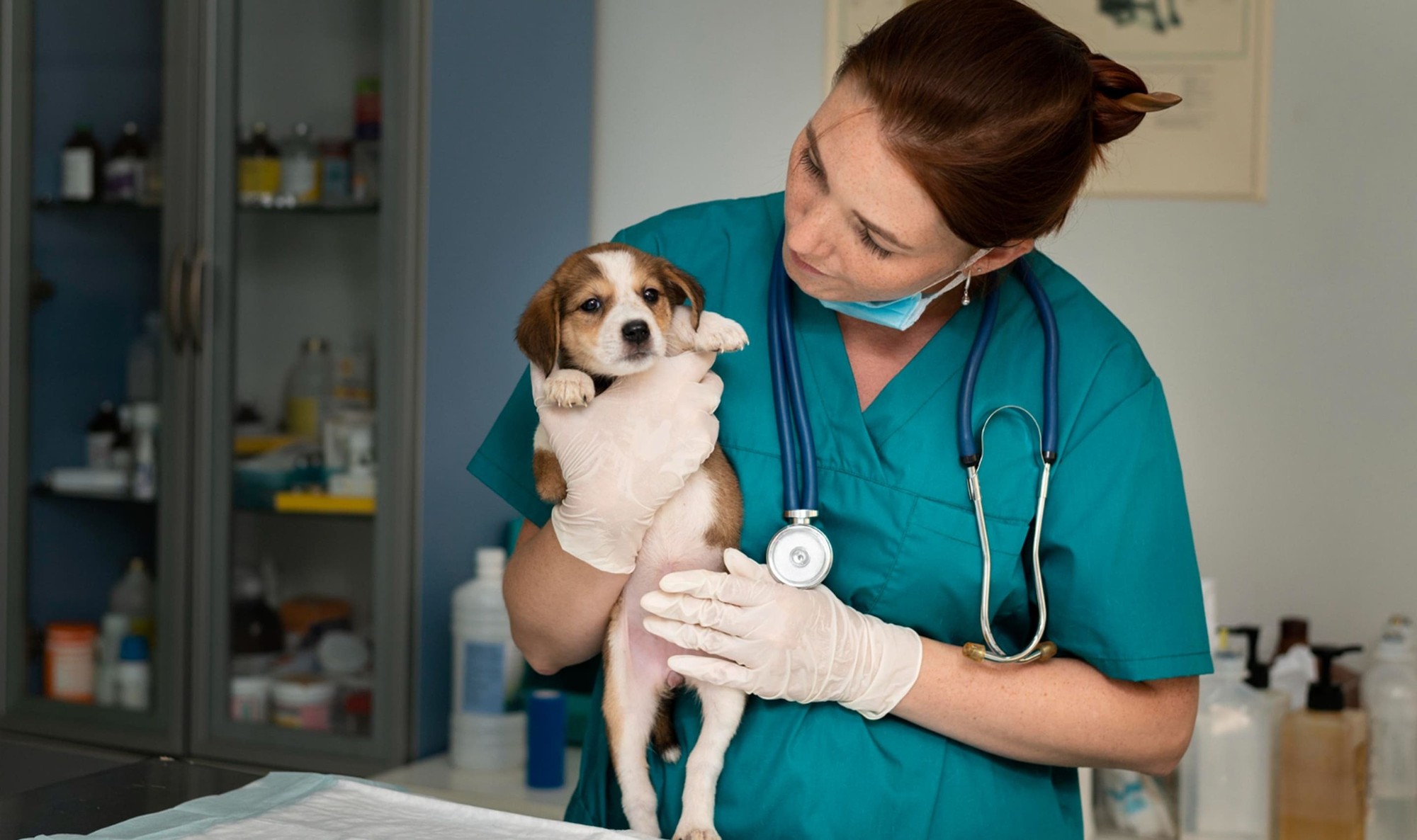 advanced veterinary care doctor with a dog
