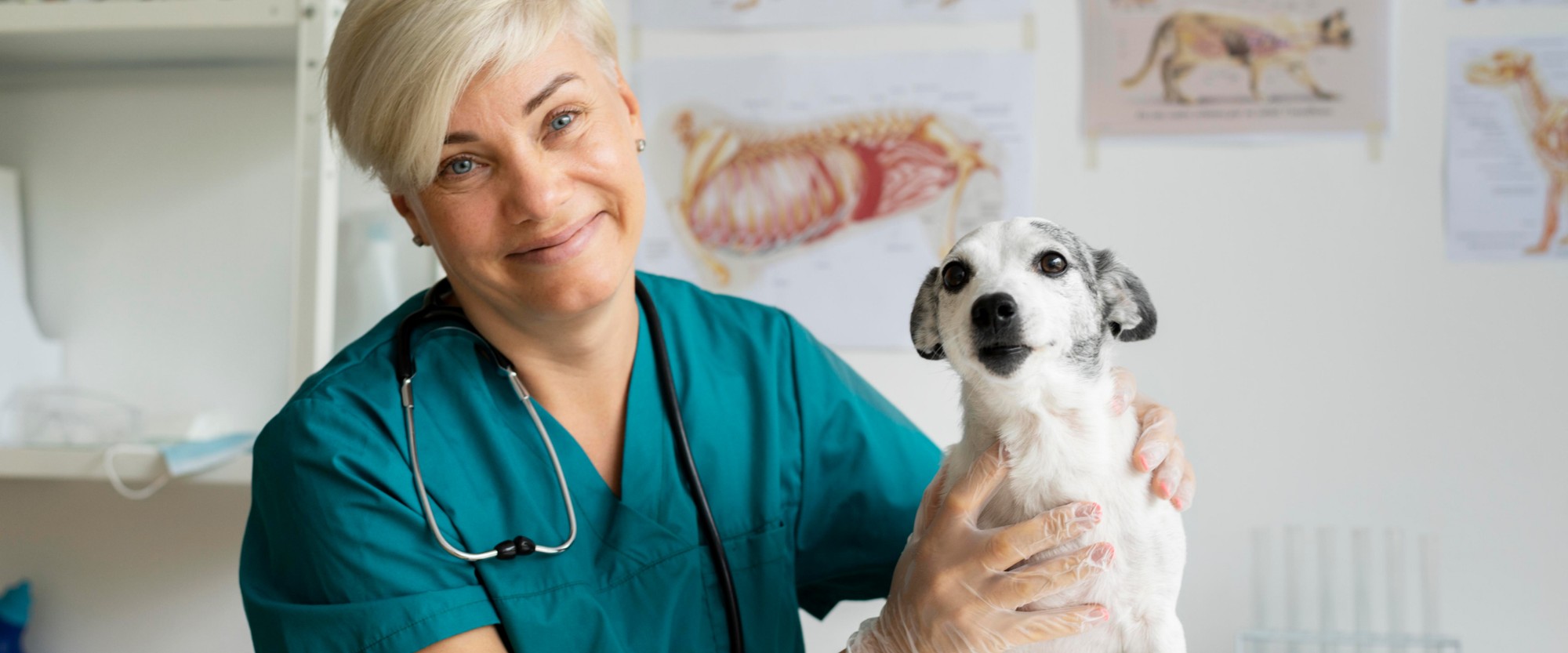 a happy vet with a husky