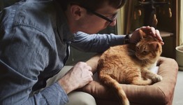 woman petting a cat