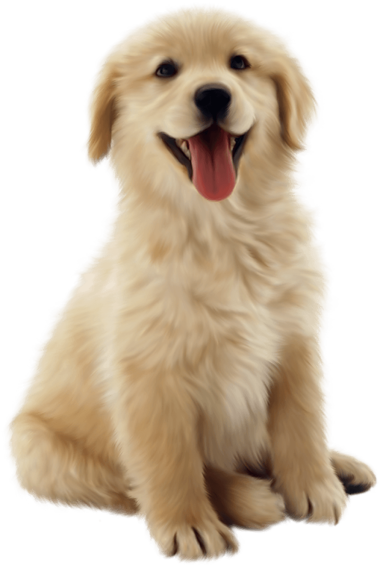 Compassionate Veterinary Care From Our Family To Yours Advanced