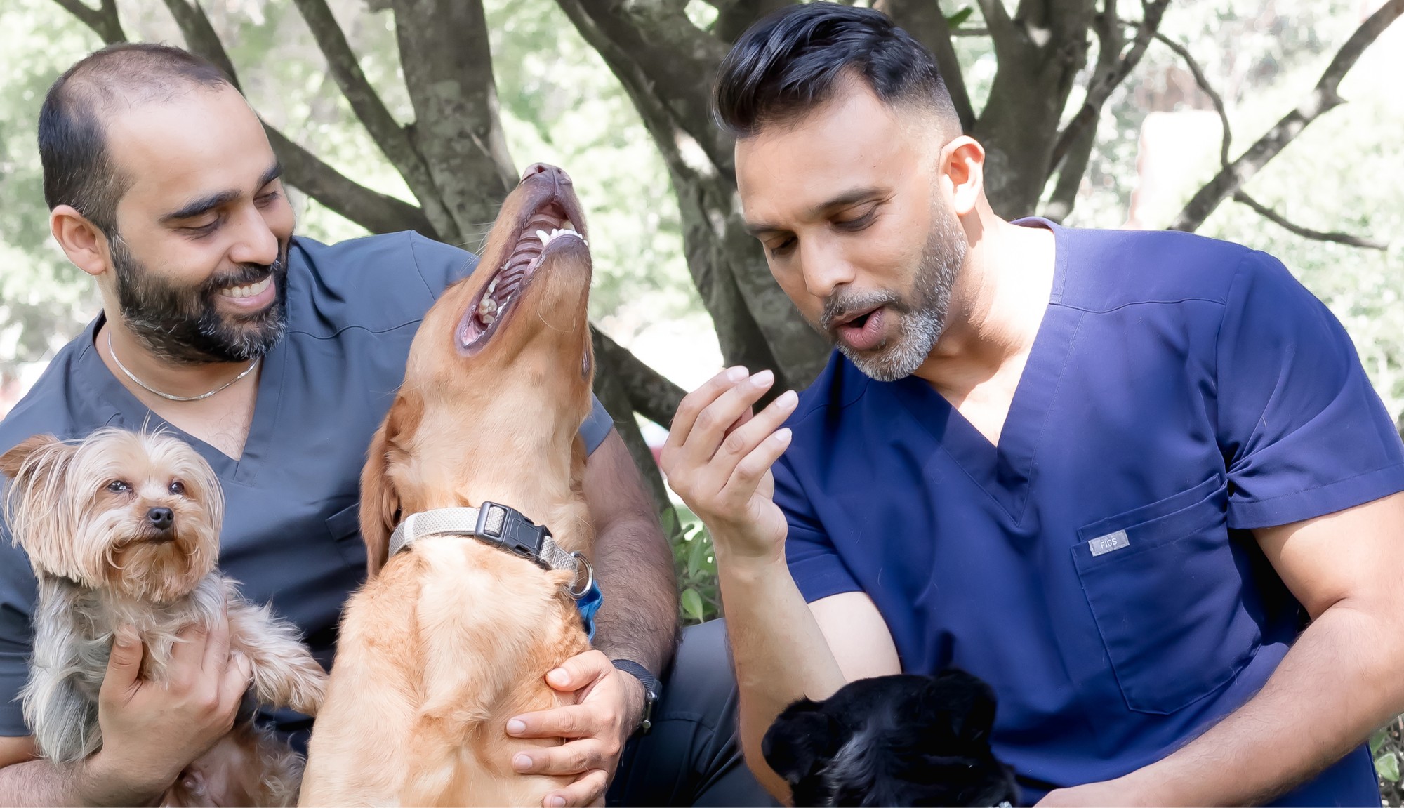 doctor Samson Daniel with a dog