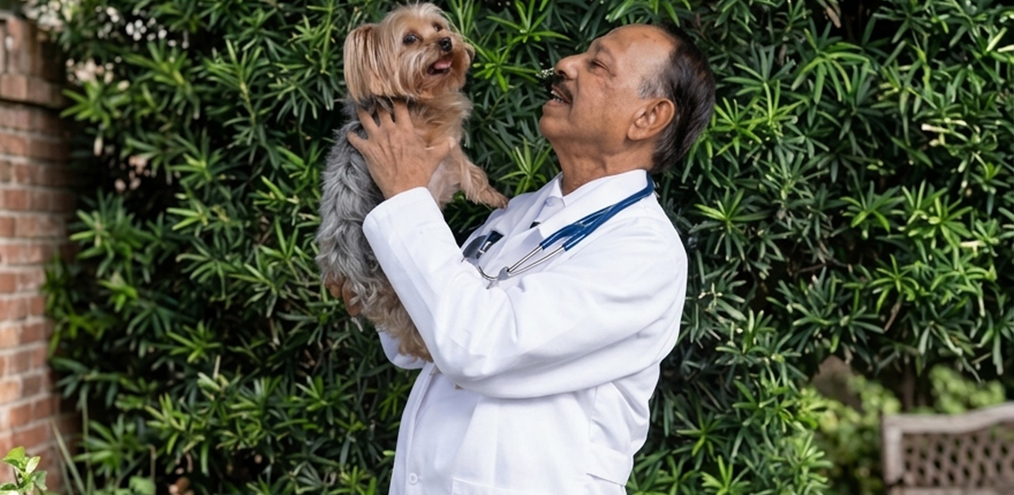 advanced veterinary care veterinarian holding a small dog
