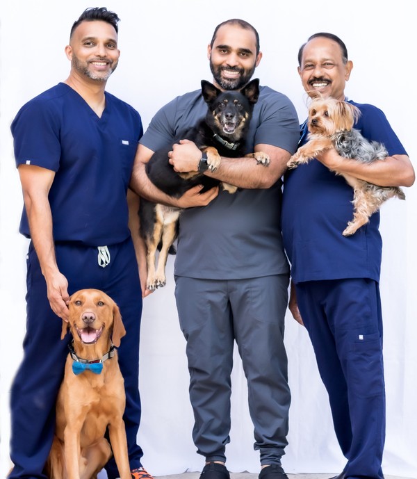 advanced veterinary care doctors with dogs