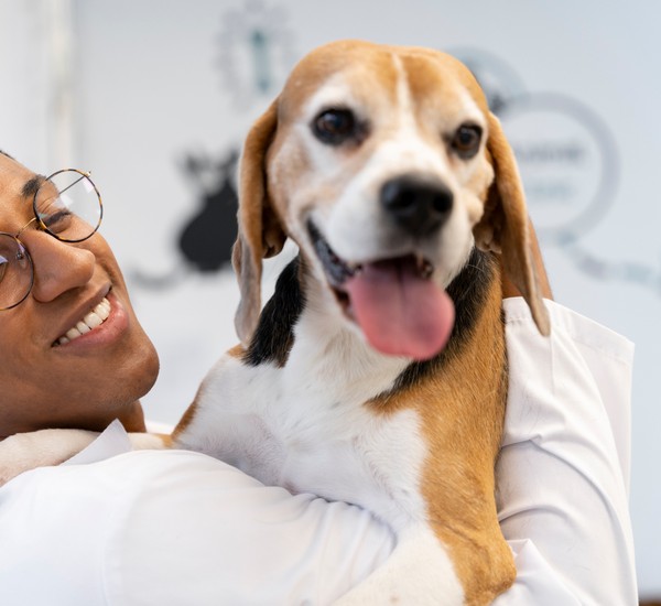 a vet holding a dog