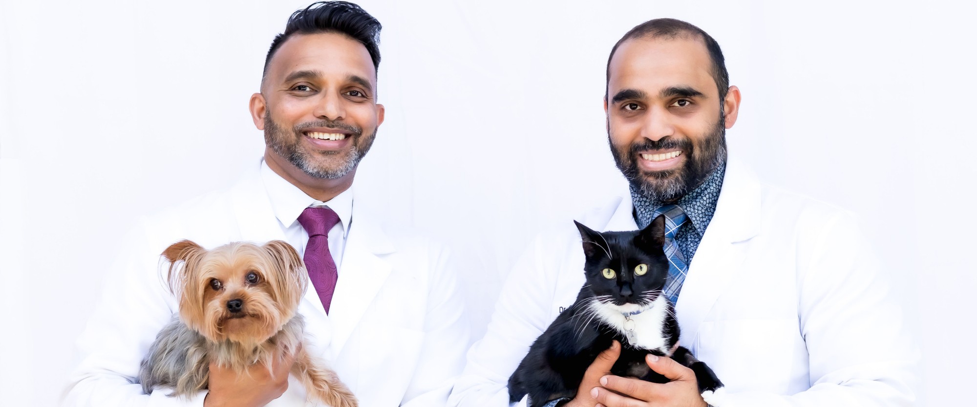 advanced veterinary care doctors 