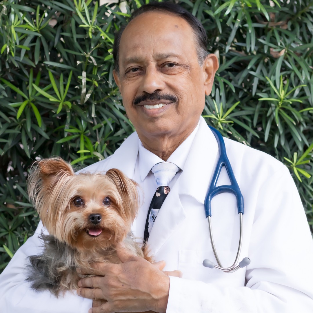 Meet the Doctors Advanced Veterinary Care Orlando