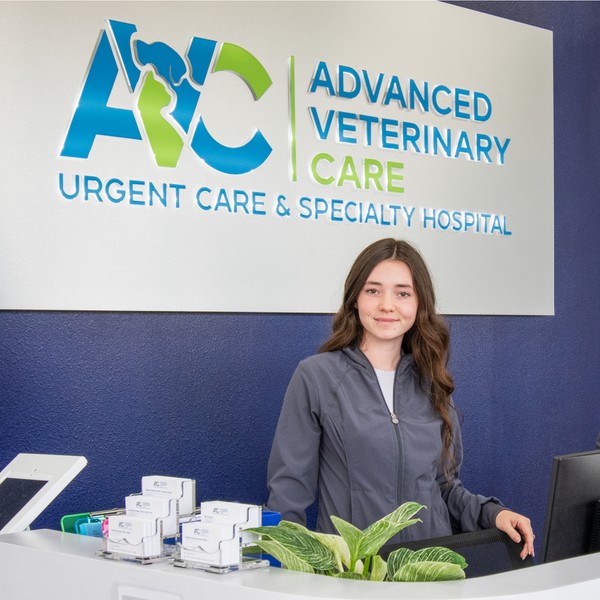 advanced veterinary care reception desk